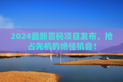 2024最新首码项目发布，抢占先机的绝佳机会！