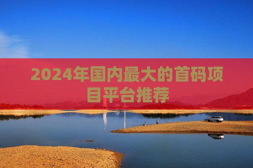 2024年国内最大的首码项目平台推荐