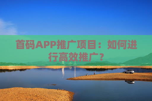 首码APP推广项目：如何进行高效推广？