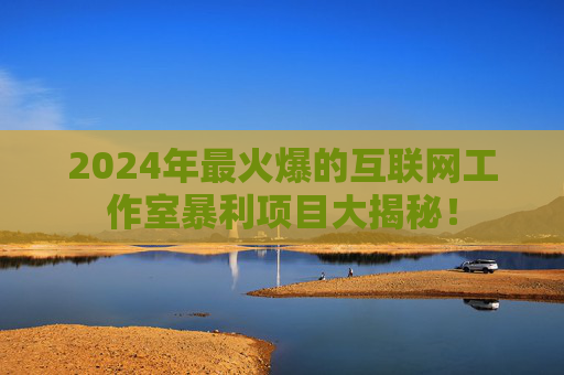 2024年最火爆的互联网工作室暴利项目大揭秘！